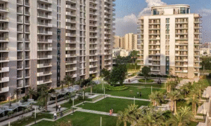 DLF Ultima Sector 81